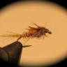 Hendrickson Nymph
